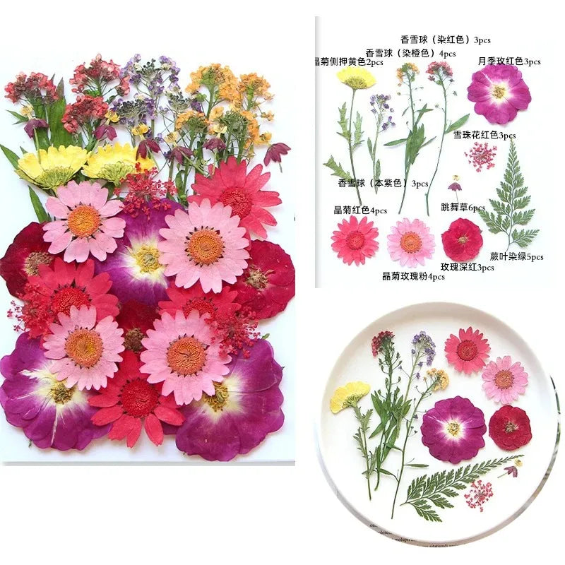 fleurs séchées multicolores variées naturelles scrapbooking décoration maison artisanat DIY
