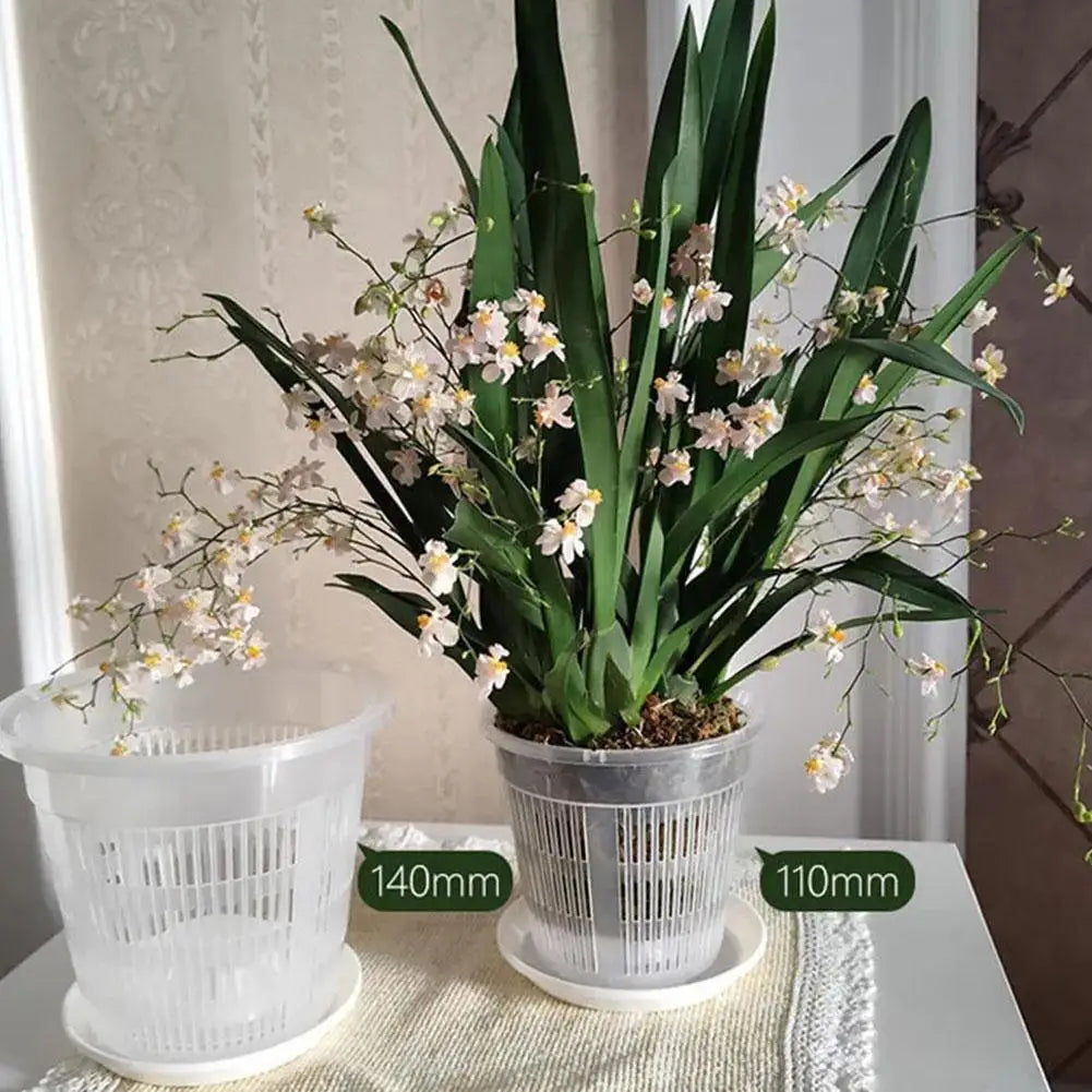 pots plantes transparents drainage moderne 14cm 11cm grille support bacs fleurs polyrésine non enduit