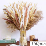 décoration maison bouquet dried flowers naturelles pampas beige rustique vase
