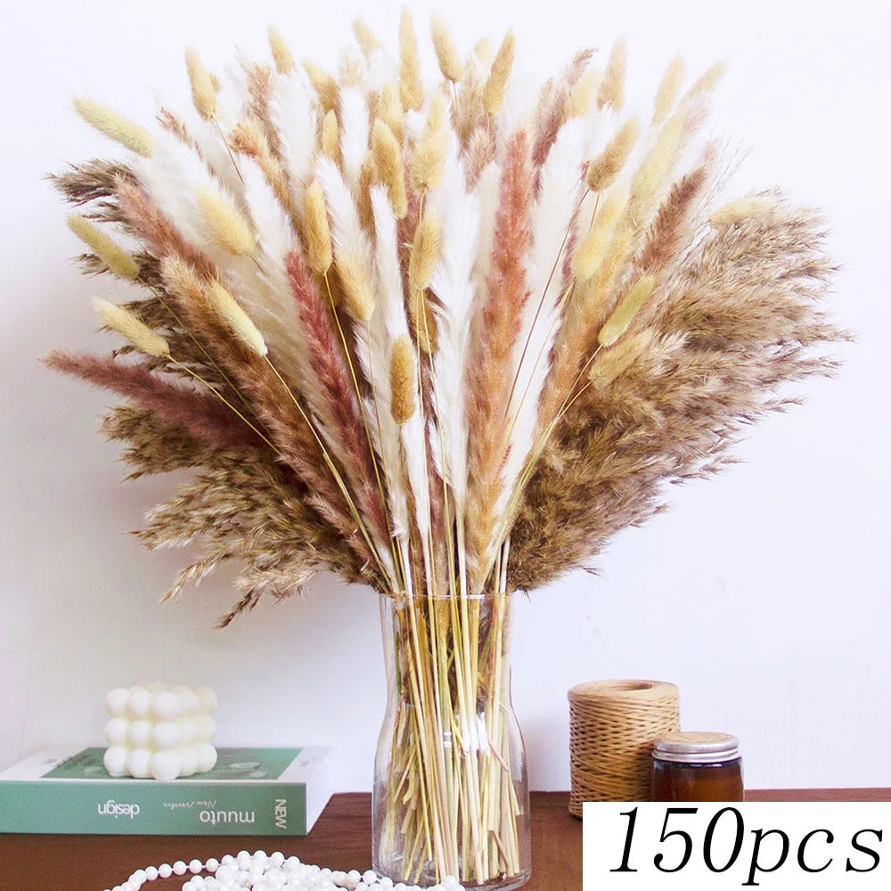 décoration maison bouquet dried flowers naturelles pampas beige rustique vase
