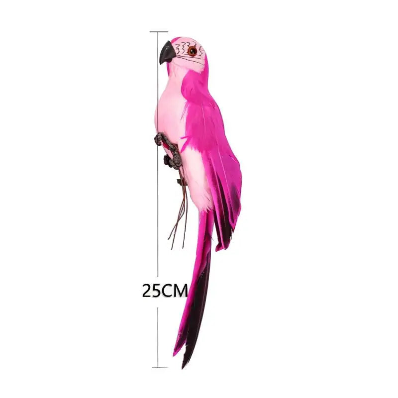ornement animal perroquet rouge blanc vert jaune bleu rose plumes brillantes pieds extérieur intérieur