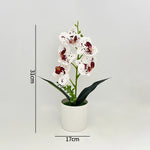 décoration intérieure orchidées artificielles fleurs feuilles synthétiques moderne blanc rose violet jaune