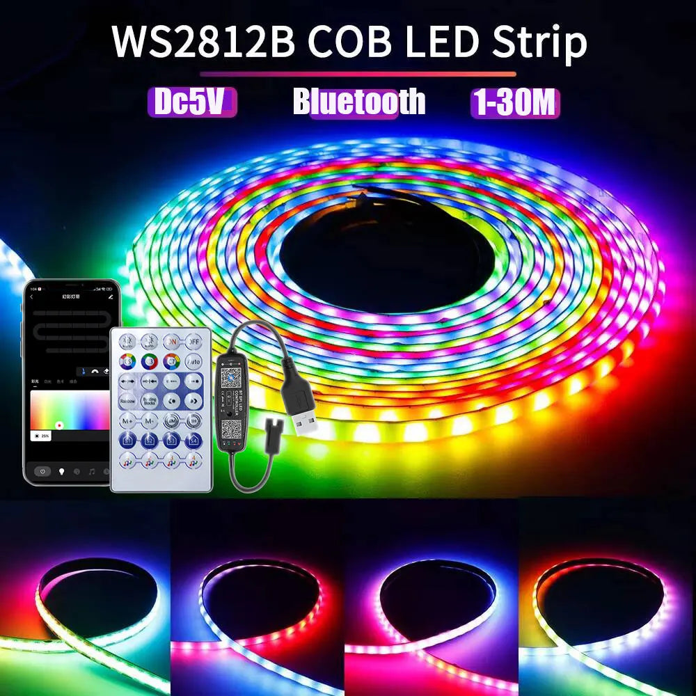 ruban led flexible multicolore moderne controle bluetooth adhésif 5v ws2812b 30mètres led individuelles