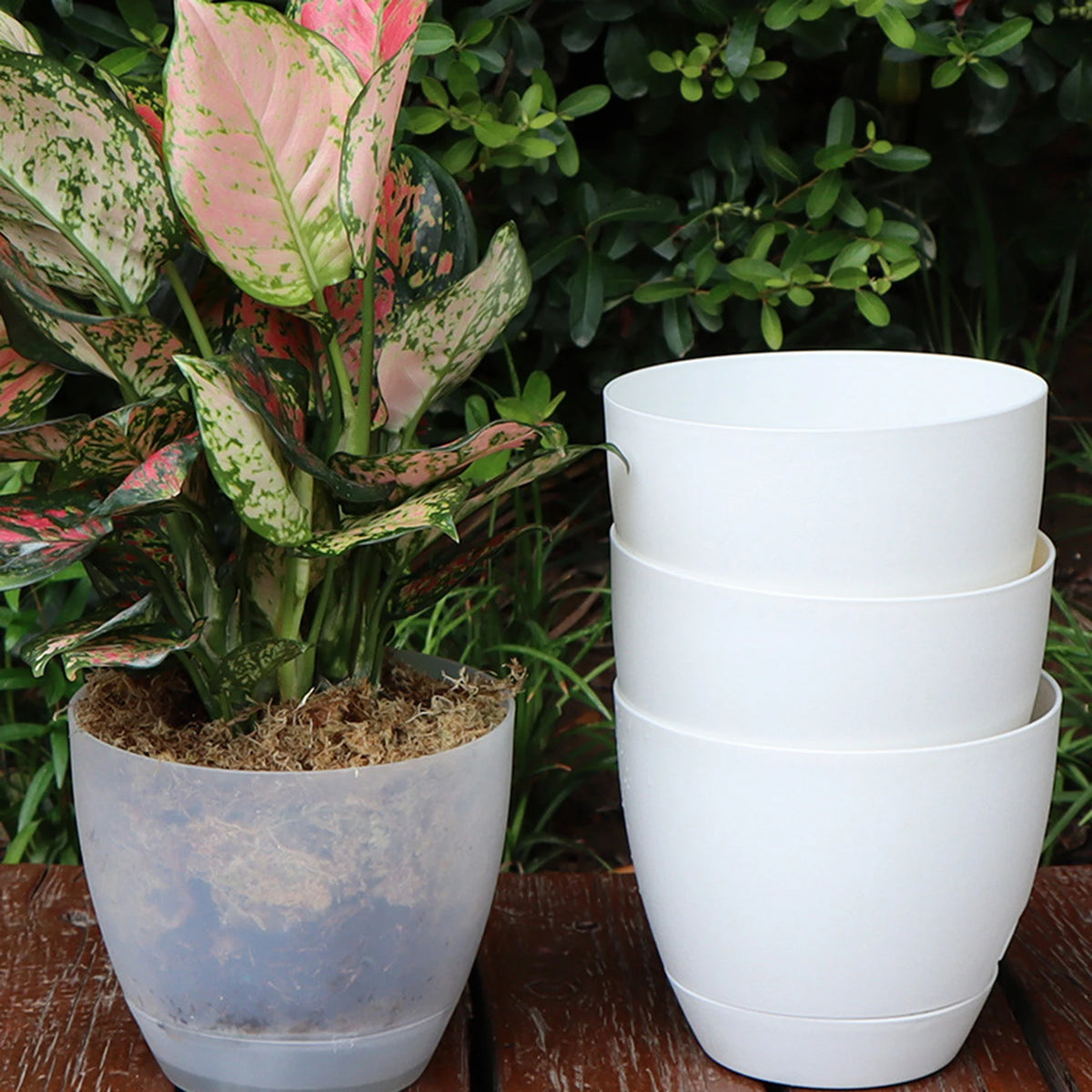 Pots fleurs blancs modernes plastique opaques plantes vertes 13cm capacité grande