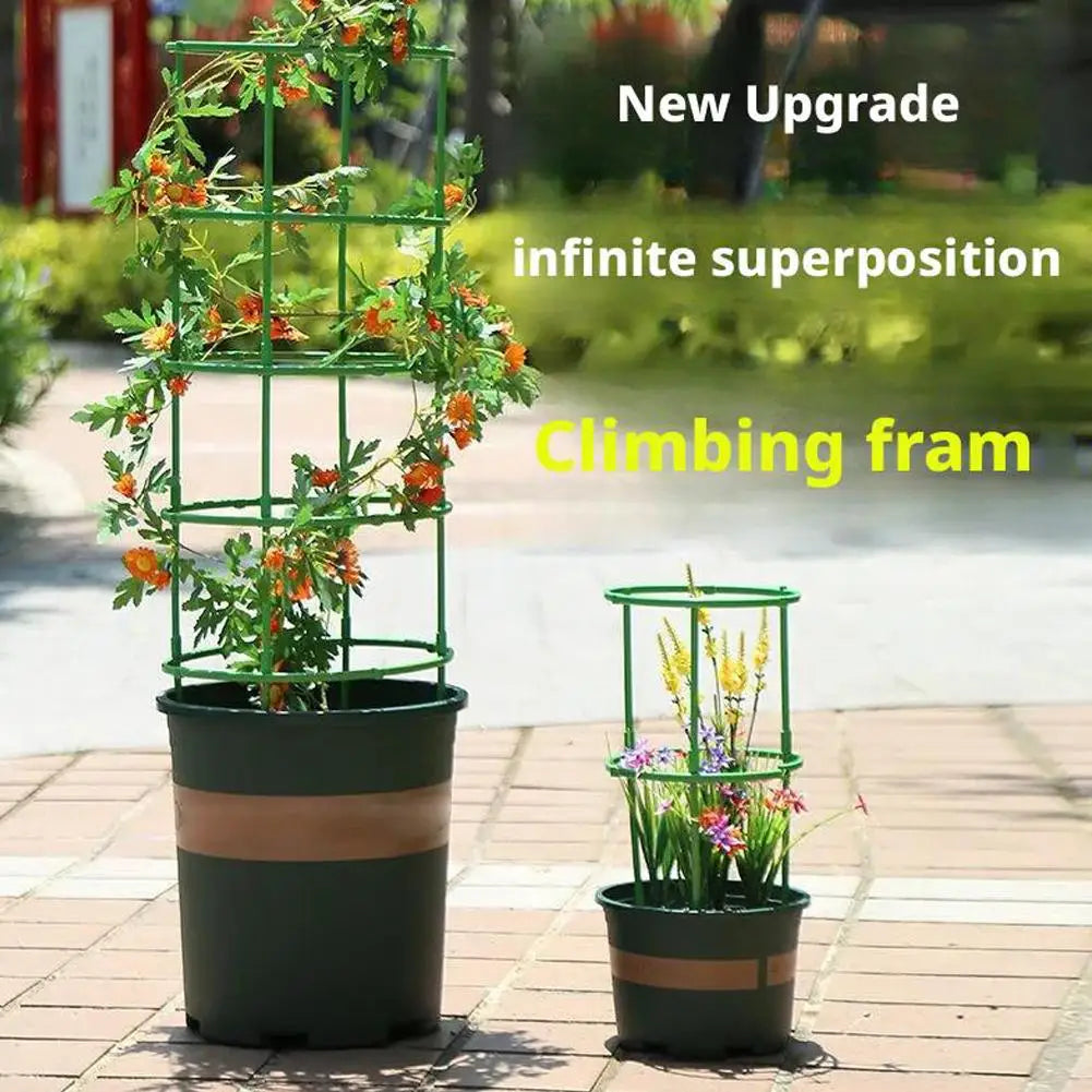 grillage plantes grimpantes vert structure circulaire adhésif moderne pot fleurs