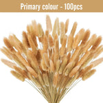 plumes séchées naturelles queue lapin décoration maison fêtes anniversaires mariage bohème rustic beige clair