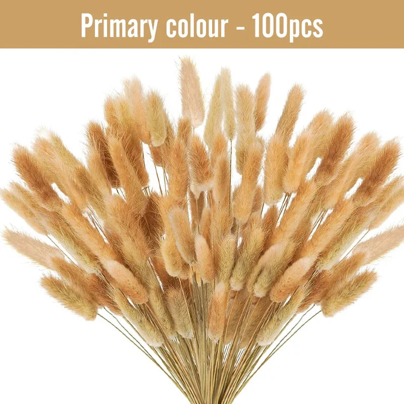 plumes séchées naturelles queue lapin décoration maison fêtes anniversaires mariage bohème rustic beige clair