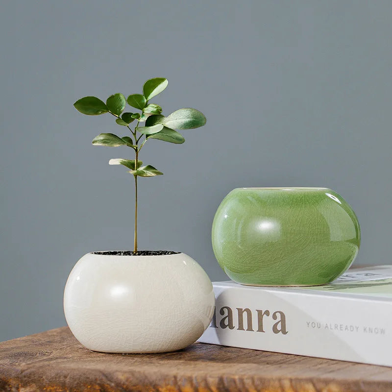 pots ceramique ronds verts blancs plante verte texture craquelée moderne minimaliste zen