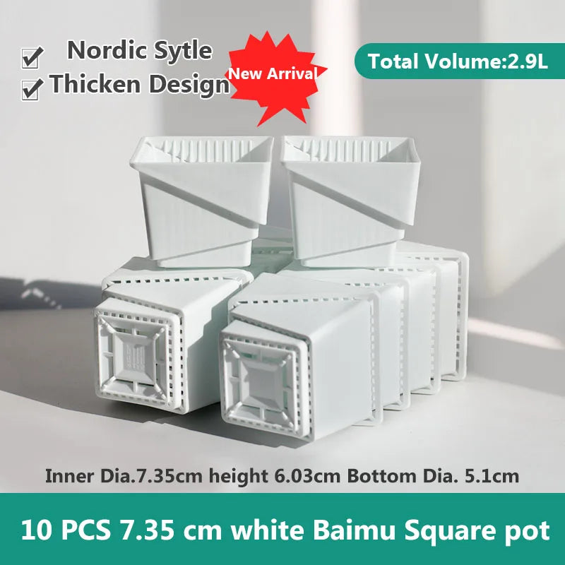 pots plantes plastique moderne blanc cactus succulents lithops drainage decoration maison