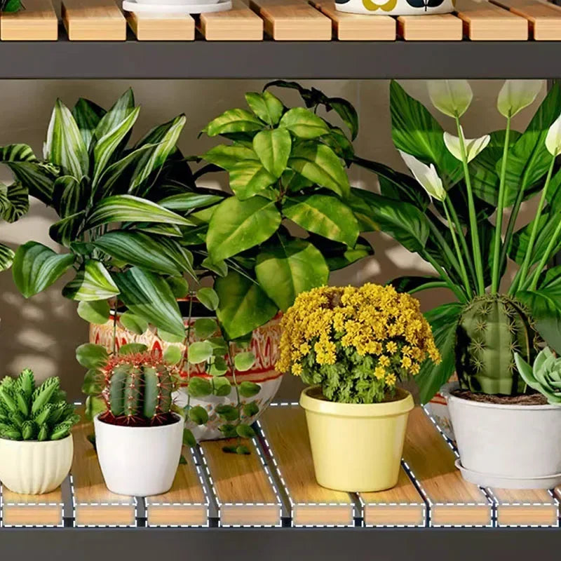 Étagère à plantes supportant des succulentes en intérieur