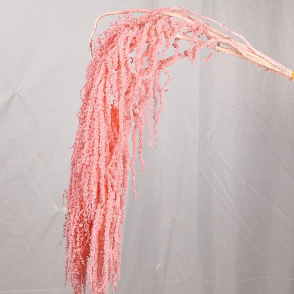 fleurs séchées naturelles blanches décoration intérieure mariage anniversaire festive rustic