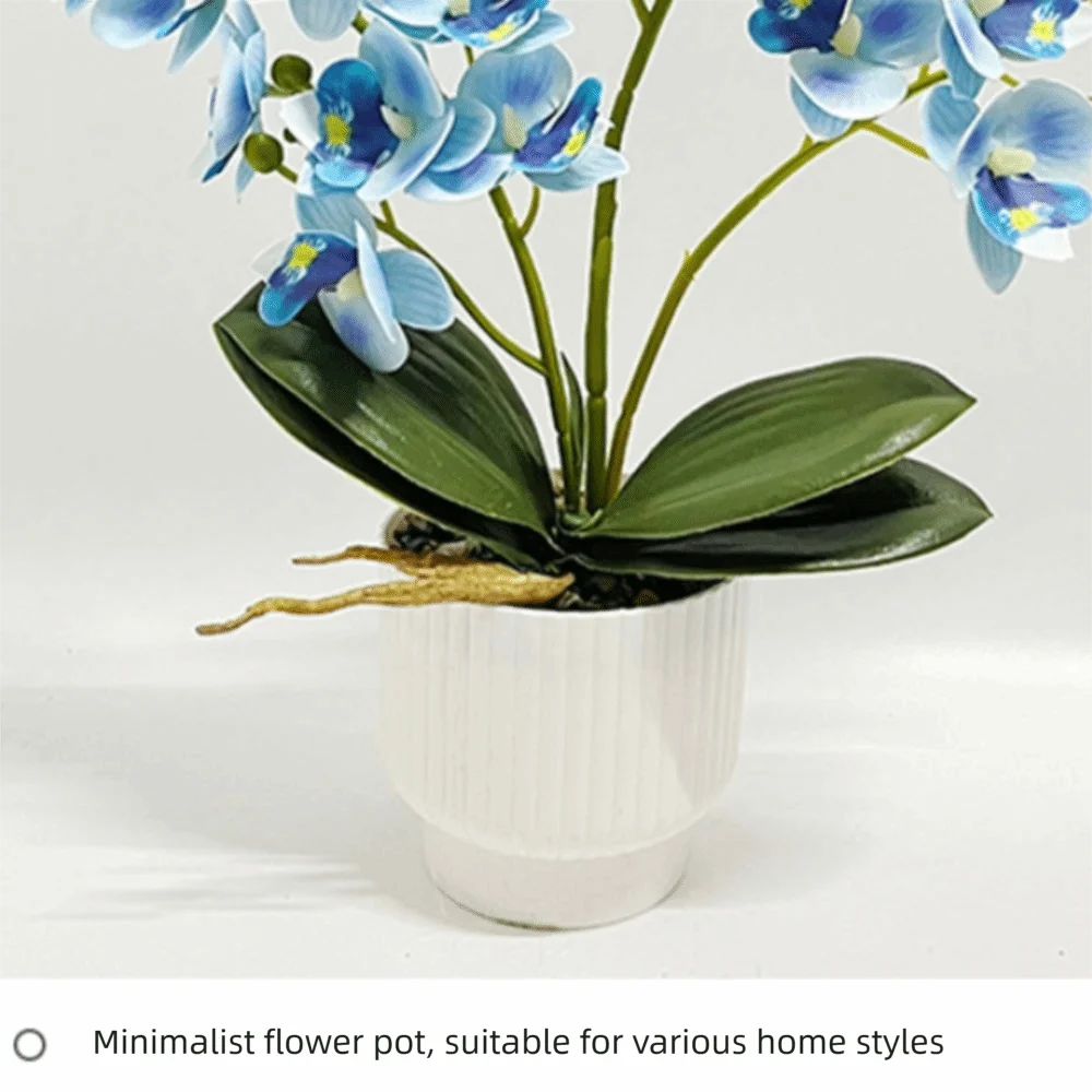 décoration murale orchidées artificielles fleurs douces moderne pot blancintérieur