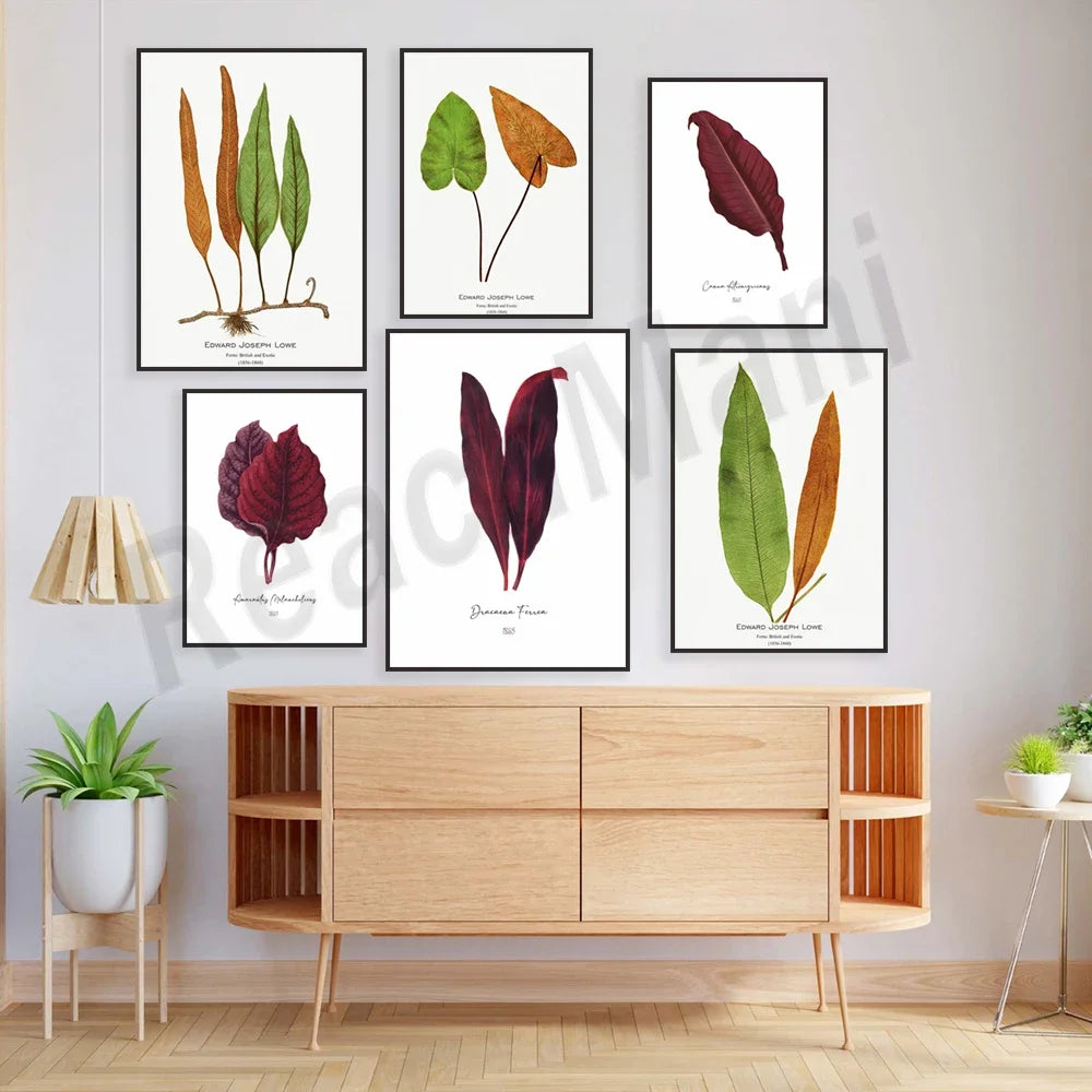 Panneaux muraux encadrés avec des illustrations botaniques colorées de feuilles.