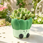 cache pot résine vert clair succulentes mignon visage souriant cactus décoration balcon