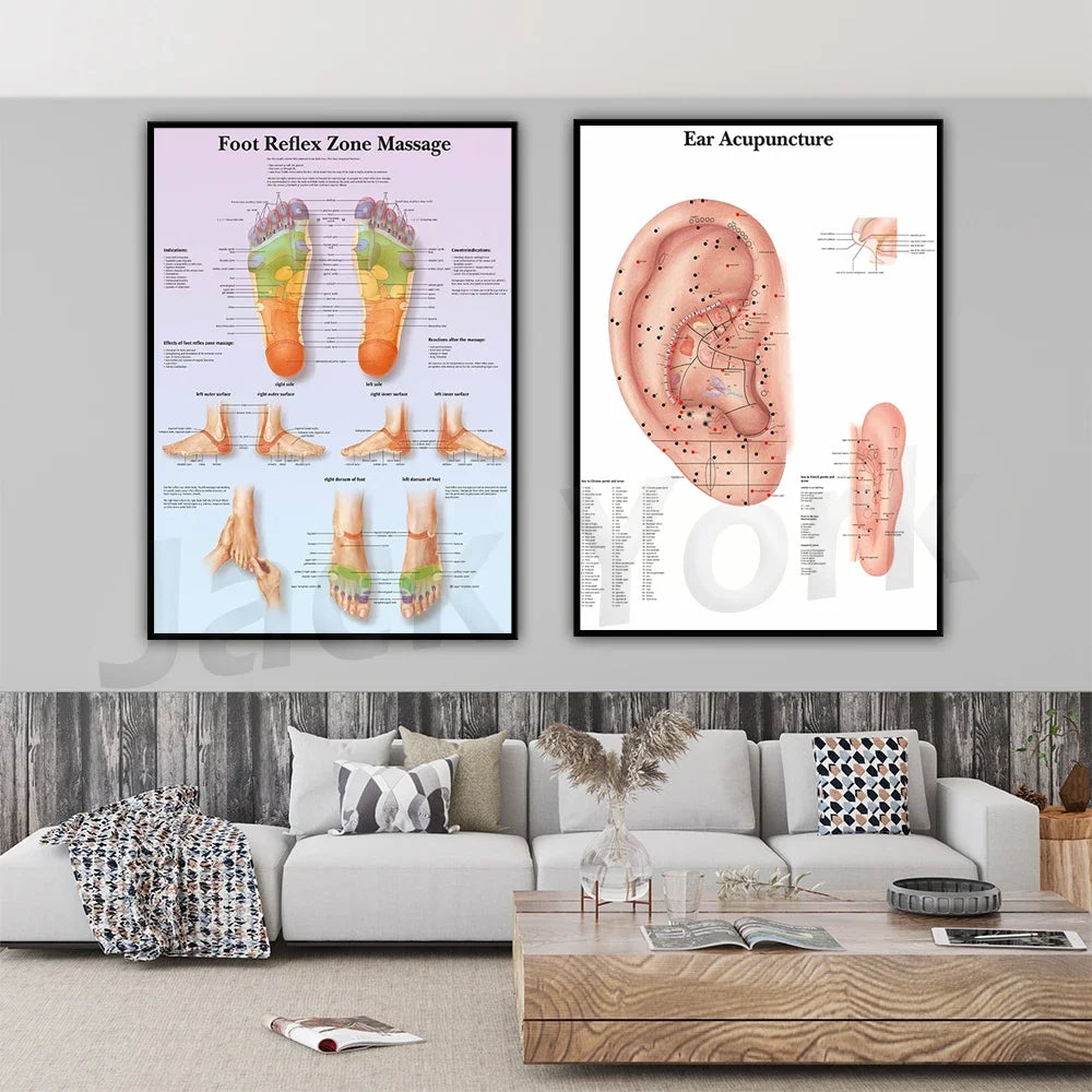 Des affiches illustrant les zones de réflexologie plantaire et les points d'acupuncture de l'oreille, suspendues au mur dans un espace de vie confortable.
