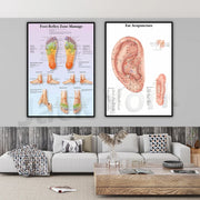 affiches technique réflexologie auriculothérapie tons pastel cadre noir modernes intérieur