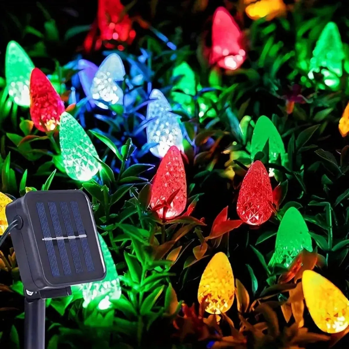 Guirlande lumineuse LED à fraises solaire allumée dans un jardin