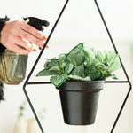 pots suspendus métal noir modernes géométriques hexagonnels chaîne métallique balcon jardin decoration