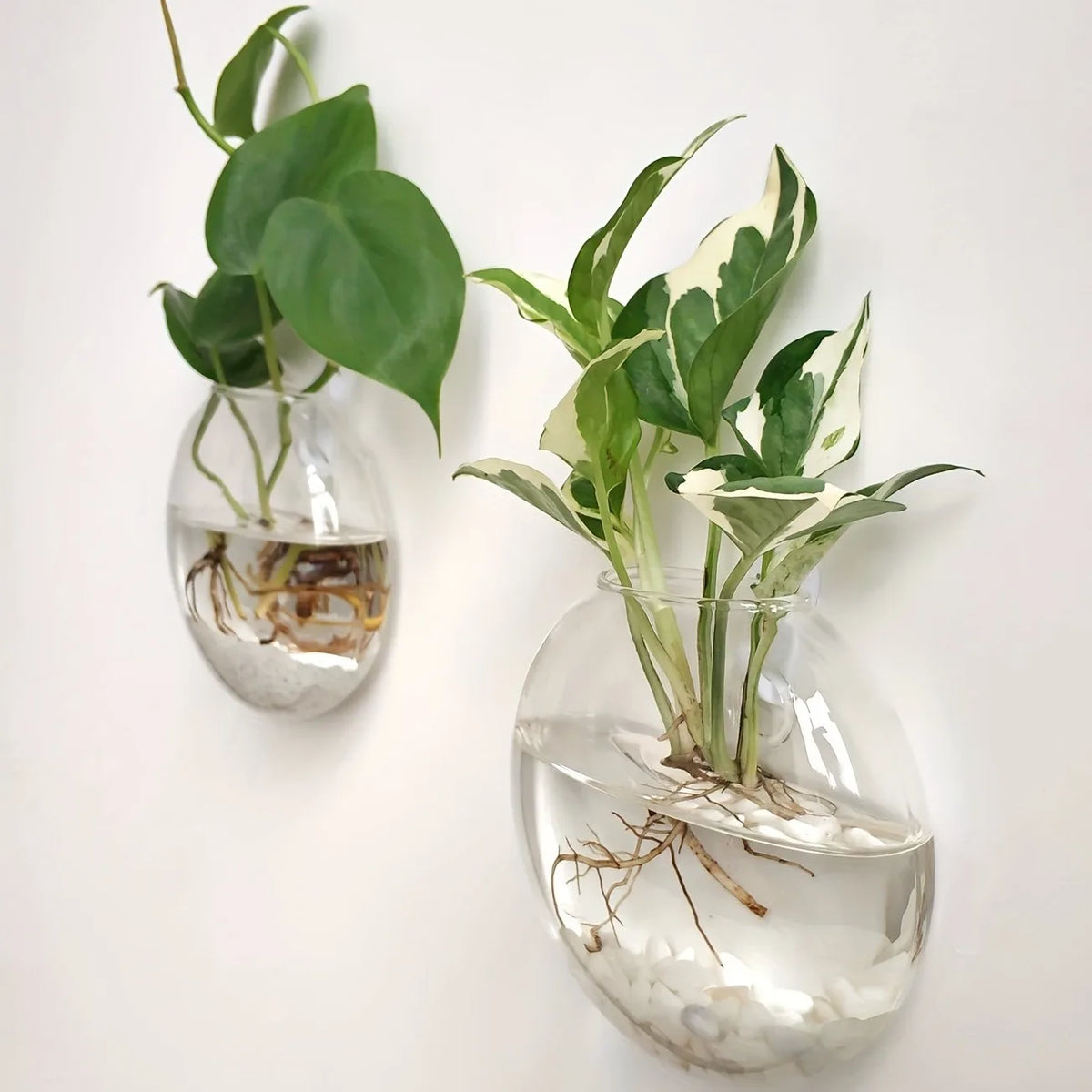 vase mural verre transparent moderne minimaliste auto arrosant plante muriale adhésif sable blanc chambre