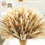 décoration maison bouquet dried flowers naturelles pampas beige rustique vase