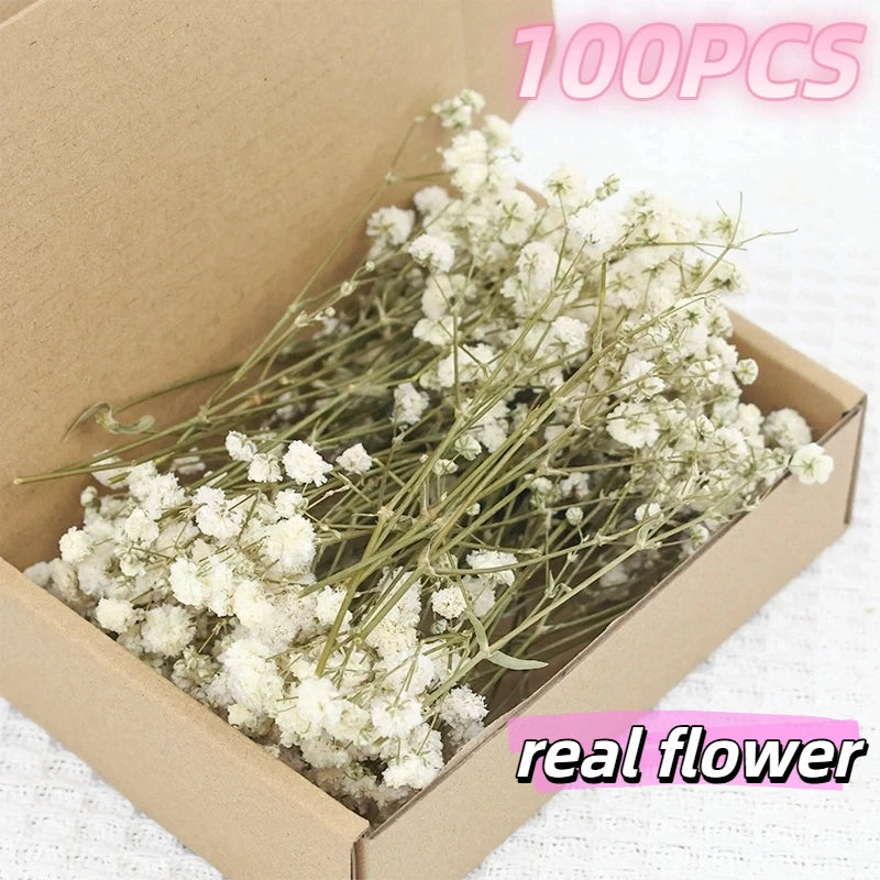 fleurs séchées blanches petites tiges fines décoration naturelle artisanale intérieur arrangement floral mariage anniversaire