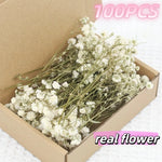 fleurs séchées blanches petites tiges fines décoration naturelle artisanale intérieur arrangement floral mariage anniversaire