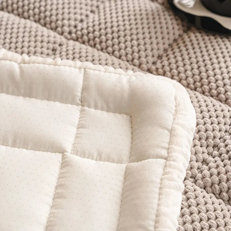 coussin canapé beige gris moderne adhésif tapis chaussons salon contemporain