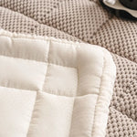 coussin canapé beige gris moderne adhésif tapis chaussons salon contemporain