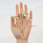 fleurs séchées blanches petites tiges fines décoration naturelle artisanale intérieur arrangement floral mariage anniversaire