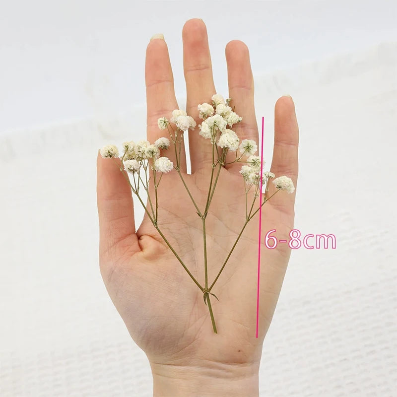 fleurs séchées blanches petites tiges fines décoration naturelle artisanale intérieur arrangement floral mariage anniversaire