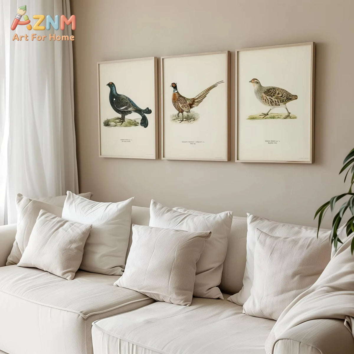 affiches oiseaux classiques illustrations détaillées noir marron beige verte bleue cadres bois salon chambre