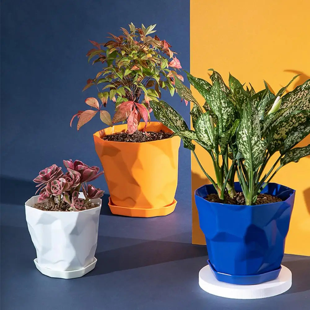 Pots plantes vertes durables multifacettes couleurs blanc orange bleu moderne
