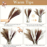 fleurs sèches plumes herbes naturelles décoration maison anniversaire mariage vases élégantes blanc marron fluffy