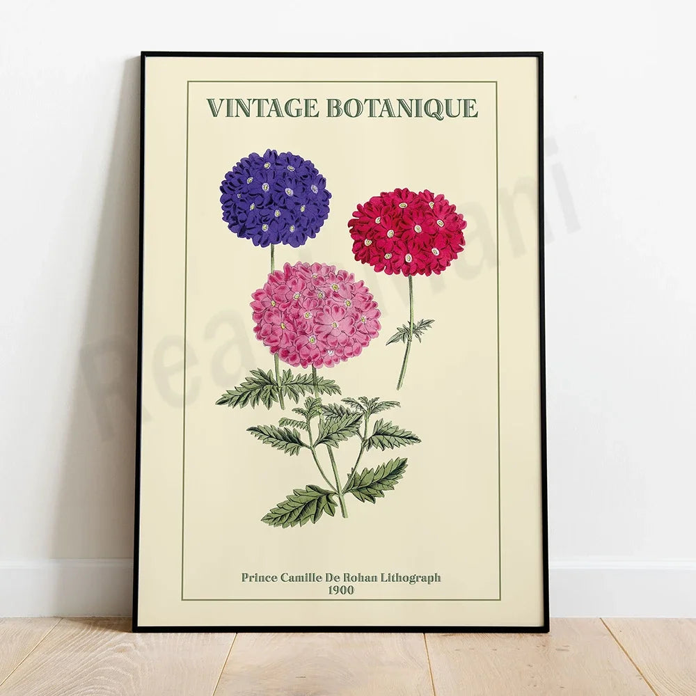 Affiche vintage botanique illustrant trois fleurs colorées avec le titre "Vintage Botanique" et le crédit du Prince Camille De Rohan Lithograph de 1900.