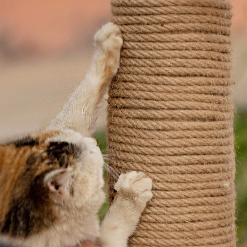 corde gratter chats durable 10m 20m 30m 4mm 50m 6mm 8mm naturelle rustic beurette