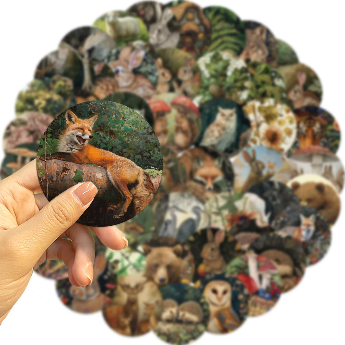 autocollants animaux forêt multicolores waterproof adhésifs unique illustration renard ours oiseaux 50pcs étanches portables