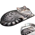 tapis bain gris peluche doux arrondi antidérapant absorbant rapide décoration maison