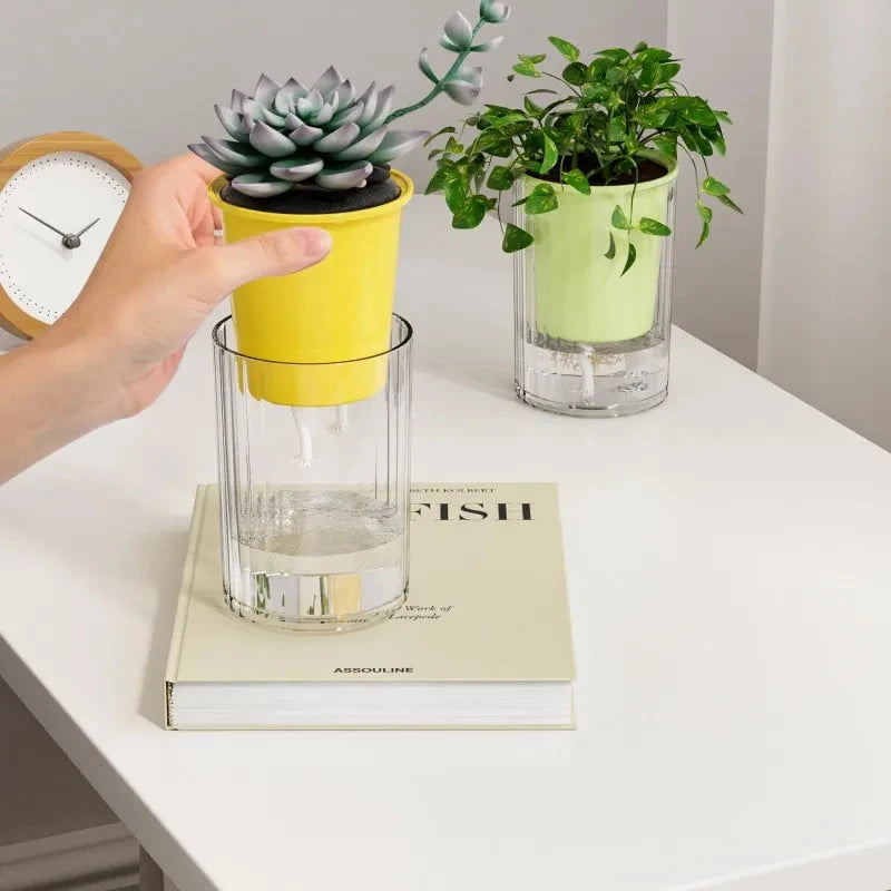 cache pot transparent moderne jaune blanc vert bleu violet adhésif intérieur maison grains colorés