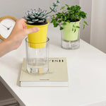 cache pot transparent moderne jaune blanc vert bleu violet adhésif intérieur maison grains colorés