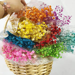 bouquets fleurs séchées multicolores decoration maison anniversaire mariage festive naturelle rustique