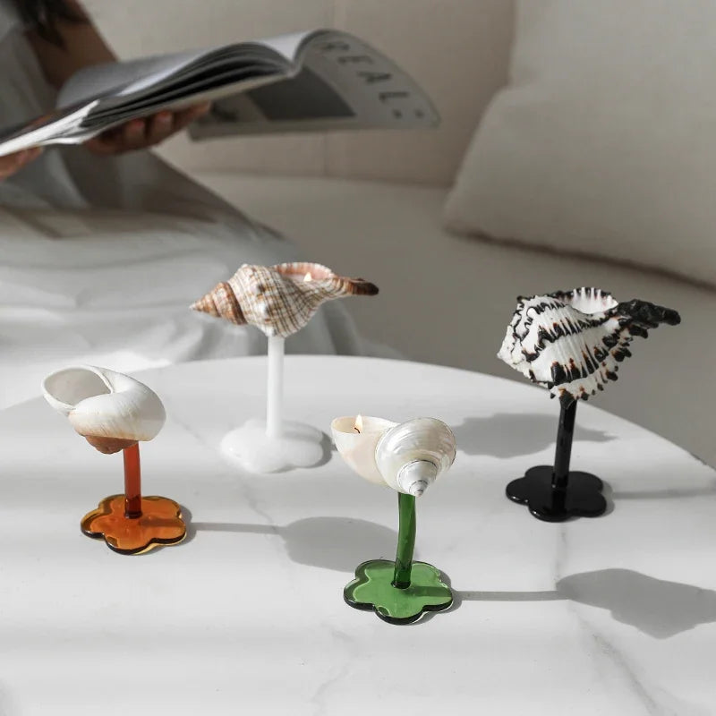 coquillages decor maison blanc rose moderne base fleur grille dimensionsolvable