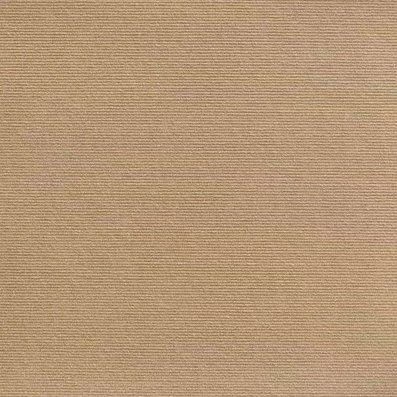 tapis gratter chats gris texture tissée moderne adhésif 30x30cm 30x60cm 30x100cm