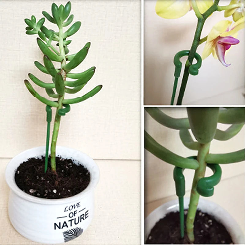 tiges soutien plantes vertes clips anti lodging moderne pot fleurs réutilisables 17cm 27cm 37cm