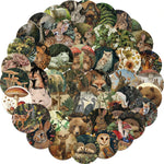 autocollants animaux forêt multicolores waterproof adhésifs unique illustration renard ours oiseaux 50pcs étanches portables
