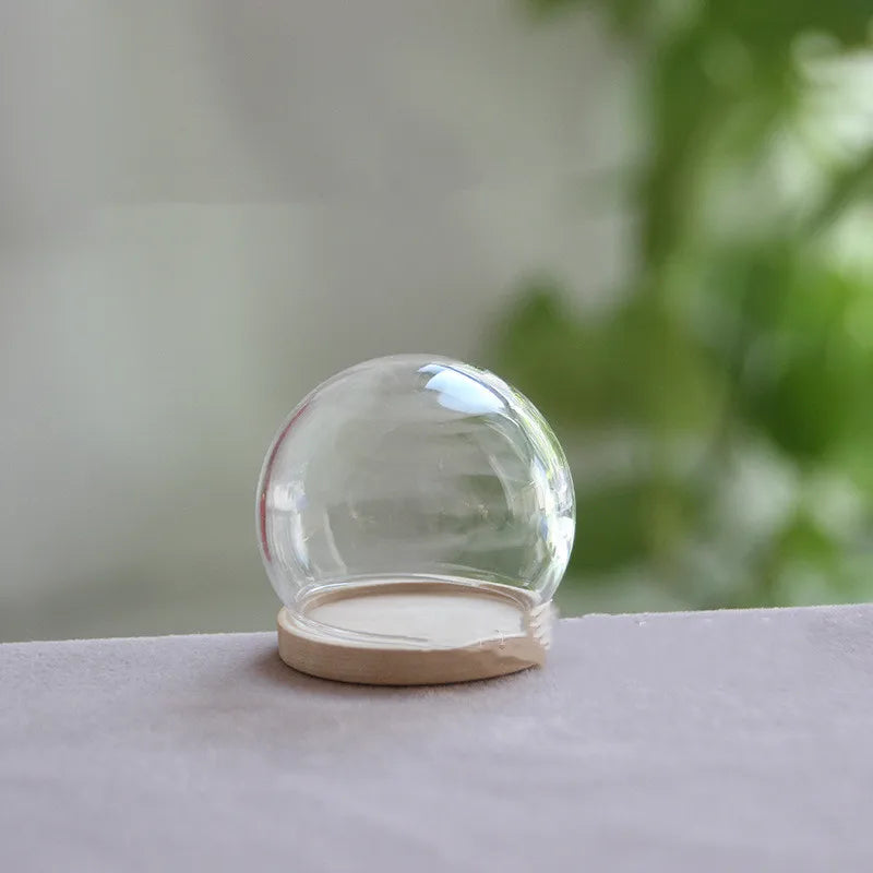 vase boule verre transparent base bois couvercle fleurs séchées