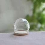 vase boule verre transparent base bois couvercle fleurs séchées
