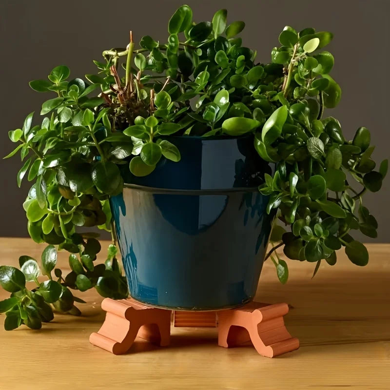 supports pots fleurs noirs modernes plantes pot set opaques