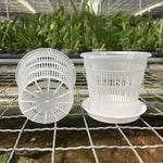 Comparaison des tailles 11cm et 14cm pour pots orchidées