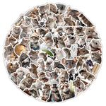 autocollants souris poses vêtements objets divers illustration adhésif gris beige blanc marron vert bleu