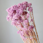 bouquet fleurs séchées naturelles rustique décoration maison mariage anniversaire petit volume décoratif